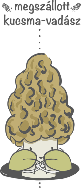 Kucsma