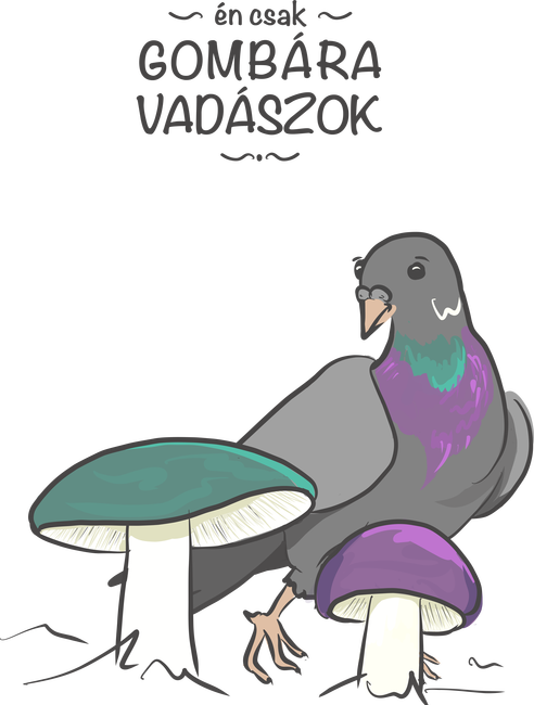 Galambgomba